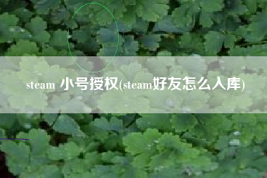steam 小号授权(steam好友怎么入库)