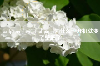 wallpaper engine(wallpaper为什么一开机就变了壁纸了)