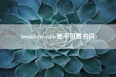 terrible(terrible是不可数名词)