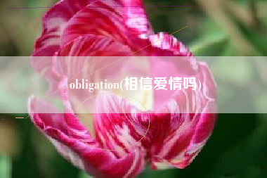 obligation(相信爱情吗)