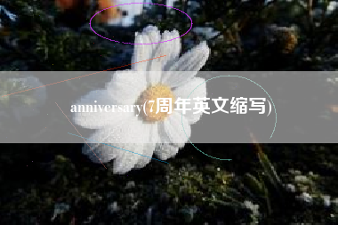 anniversary(7周年英文缩写)
