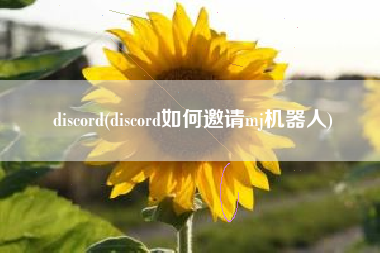 discord(discord如何邀请mj机器人)