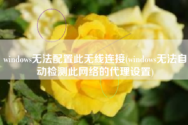 windows无法配置此无线连接(windows无法自动检测此网络的代理设置)