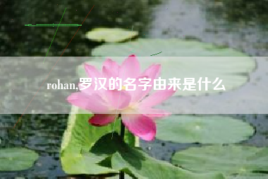 rohan,罗汉的名字由来是什么