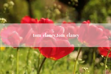 tom clancy,tom clancy