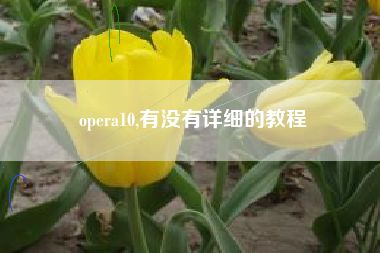 opera10,有没有详细的教程