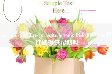 acronis disk director suite,Acronis Disk Director 套件能提供帮助吗