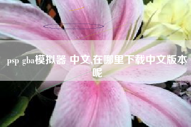 psp gba模拟器 中文,在哪里下载中文版本呢