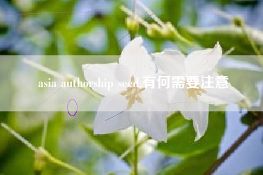 asia authorship seed,有何需要注意