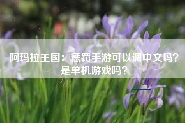 阿玛拉王国：惩罚手游可以调中文吗？是单机游戏吗？