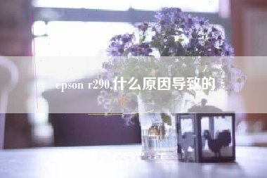 epson r290,什么原因导致的